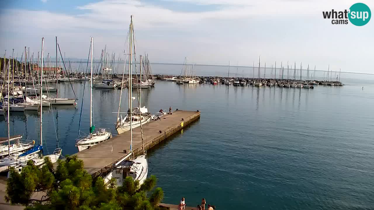 Web kamera Sistiana Uvala – Pogled uživo na marinu i zaljev