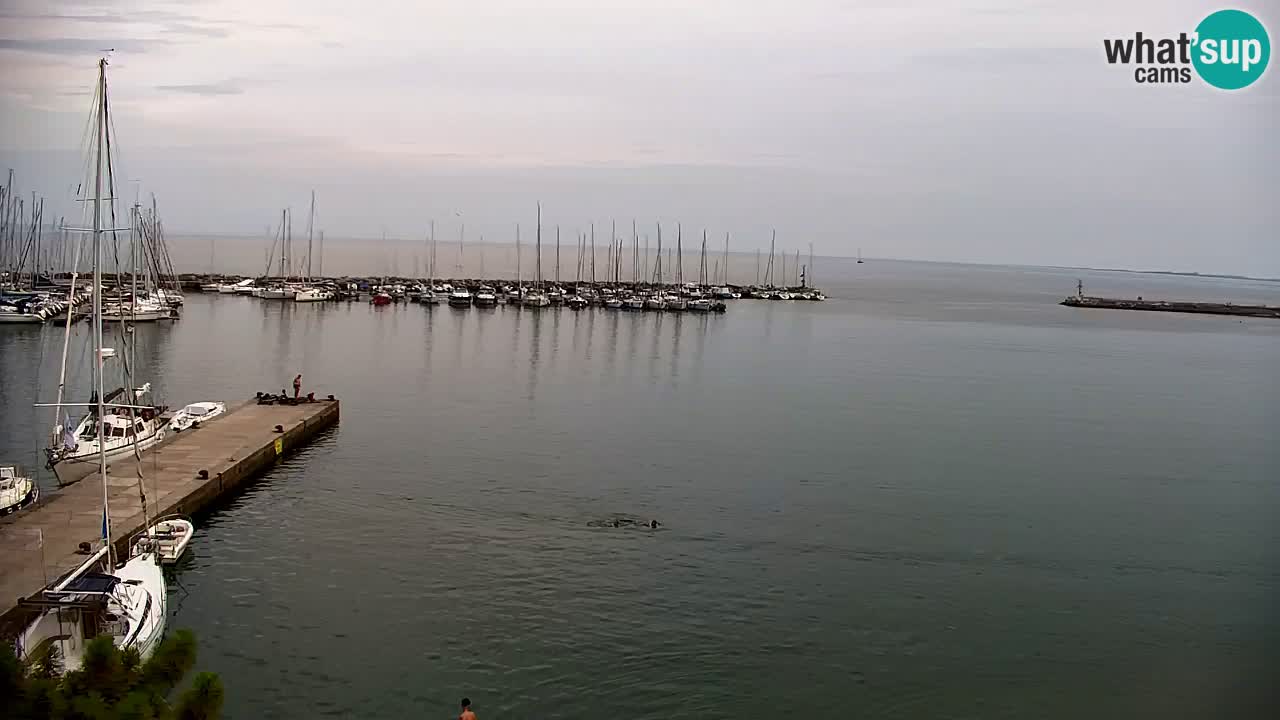 Webcam Baie de Sistiana – Vue en direct de la marina et de la baie