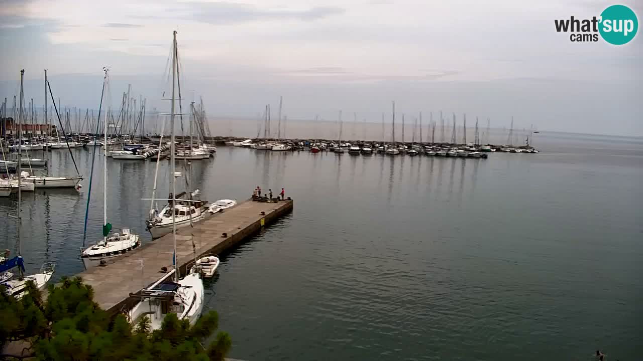 Webcam Baie de Sistiana – Vue en direct de la marina et de la baie