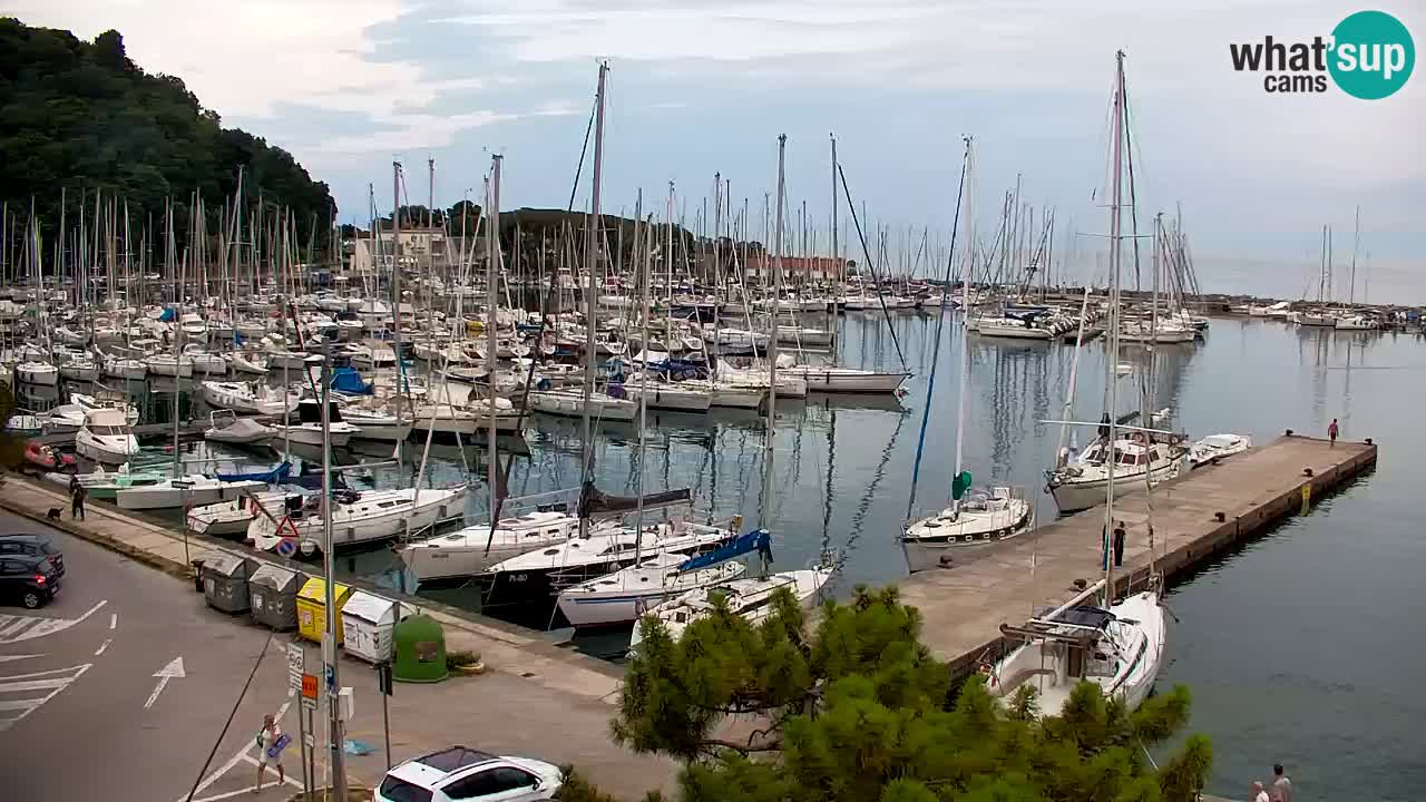Webcam Sistiana Baia – Live View of the Marina and Gulf