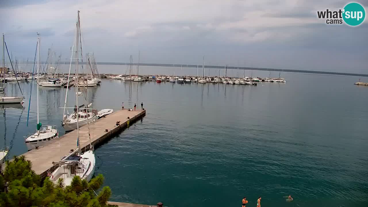 Webcam Sistiana Baia – Live View of the Marina and Gulf