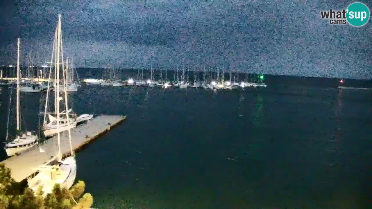 Spletna kamera Sesljanski zaliv – Pogled v živo na marino in zaliv