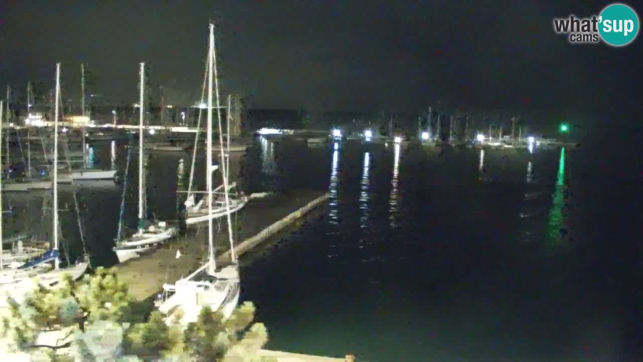 Webcam Bahía de Sistiana – Vista en directo del puerto deportivo y la costa