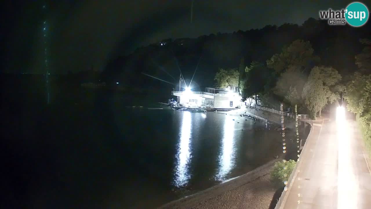 Spletna kamera Sesljanski zaliv – Pogled v živo na marino in zaliv
