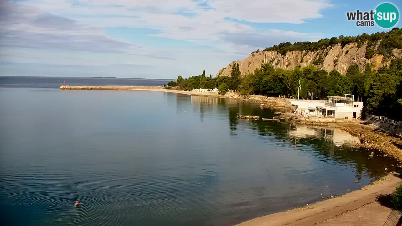 Webcam Bahía de Sistiana – Vista en directo del puerto deportivo y la costa