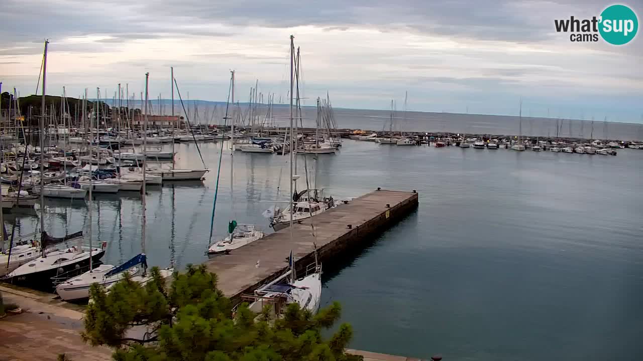 Webcam Bahía de Sistiana – Vista en directo del puerto deportivo y la costa