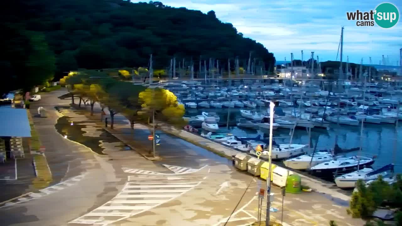 Webcam Bahía de Sistiana – Vista en directo del puerto deportivo y la costa