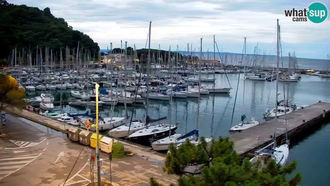 Webcam Sistiana Bucht – Liveblick auf Marina und Bucht