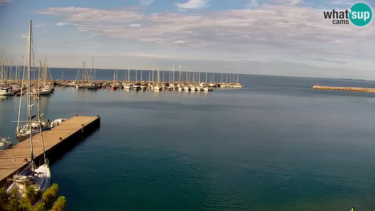 Webcam Sistiana Baia – Live View of the Marina and Gulf