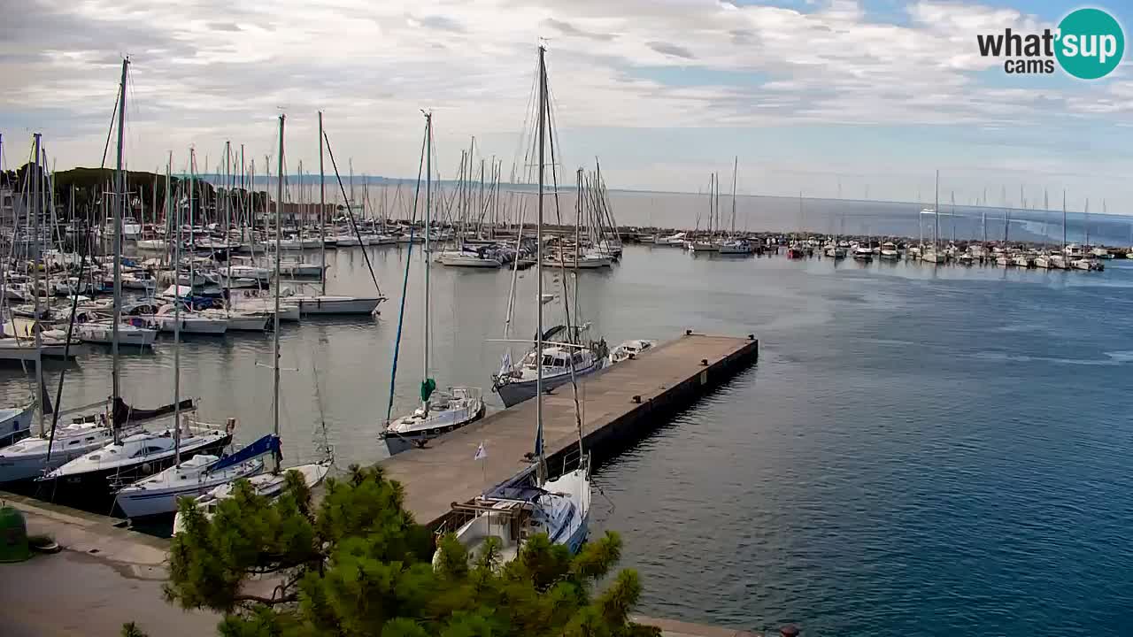 Webcam Sistiana Baia – Live View of the Marina and Gulf