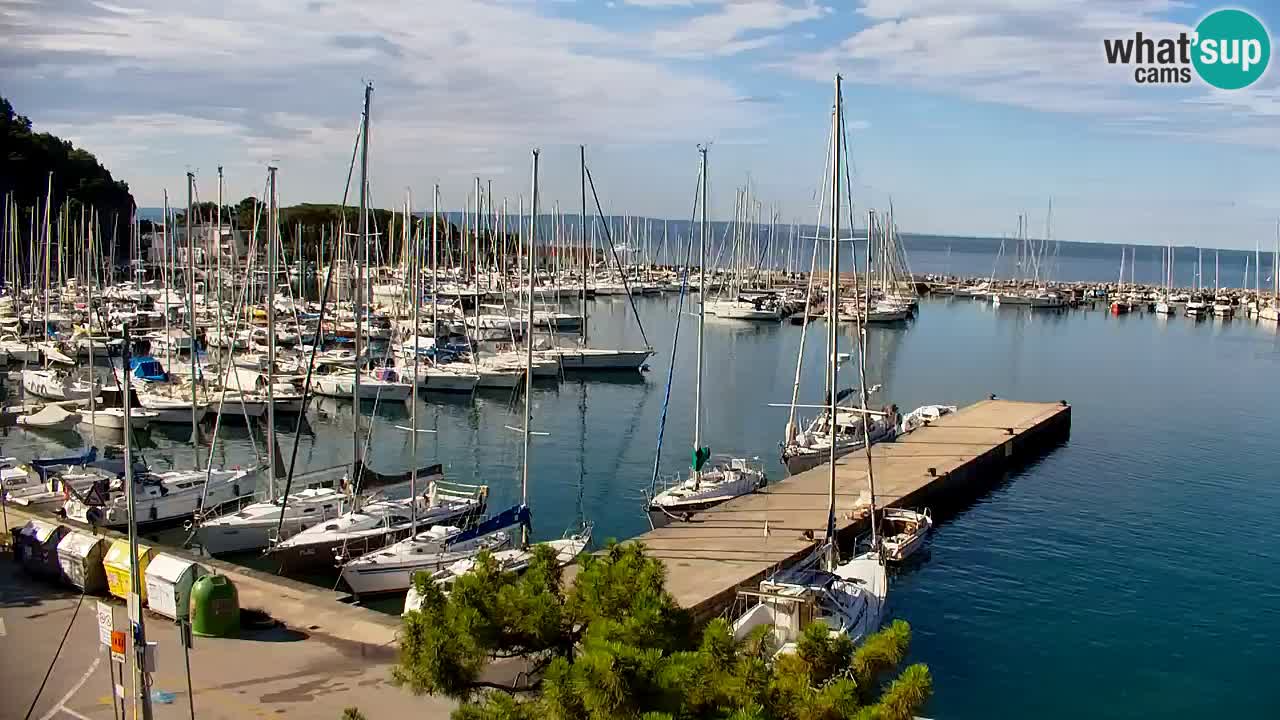 Webcam Bahía de Sistiana – Vista en directo del puerto deportivo y la costa