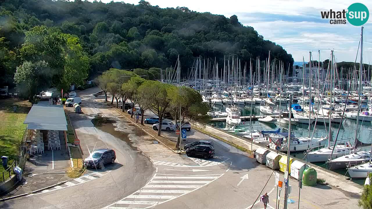 Webcam Sistiana Baia – Live View of the Marina and Gulf