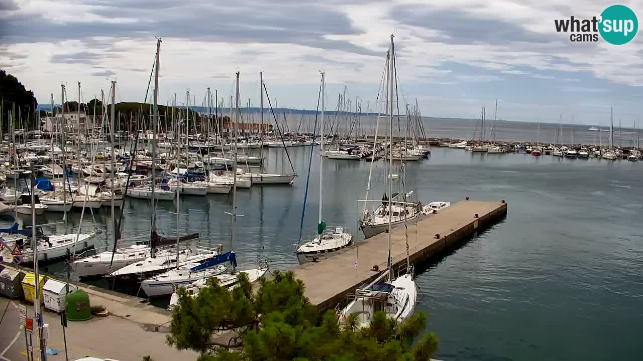 Webcam Sistiana Baia – Live View of the Marina and Gulf