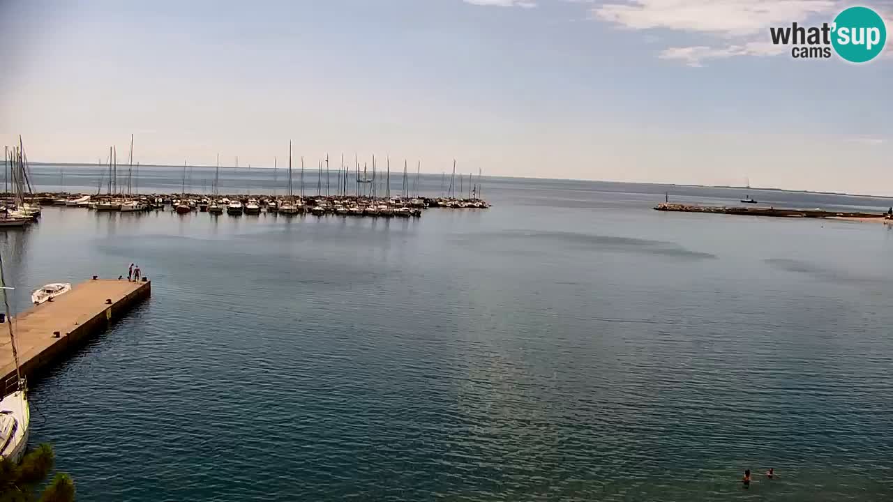 Webcam Bahía de Sistiana – Vista en directo del puerto deportivo y la costa