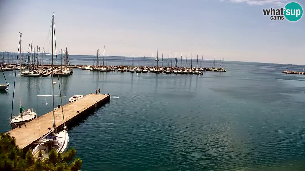 Webcam Bahía de Sistiana – Vista en directo del puerto deportivo y la costa