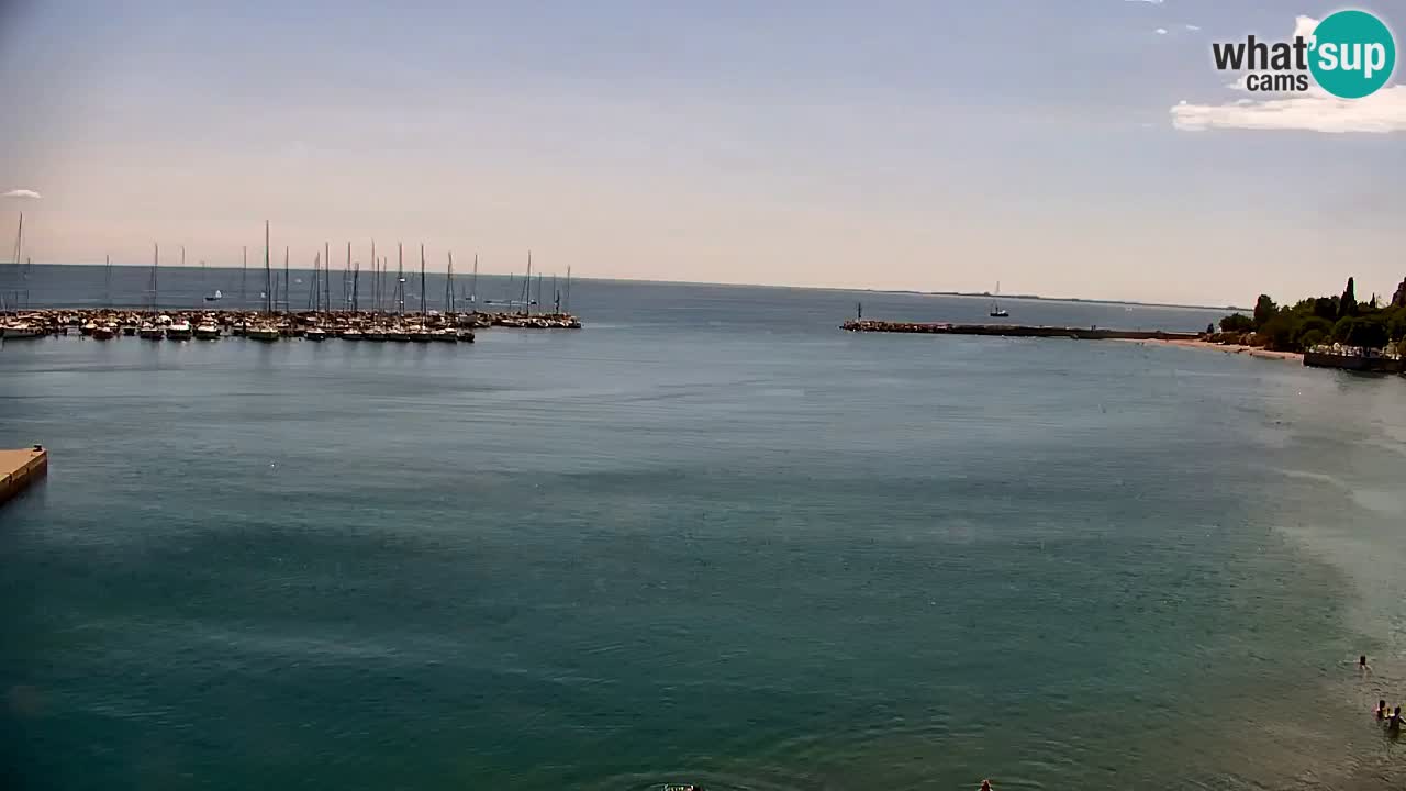 Webcam Sistiana Baia – Live View of the Marina and Gulf