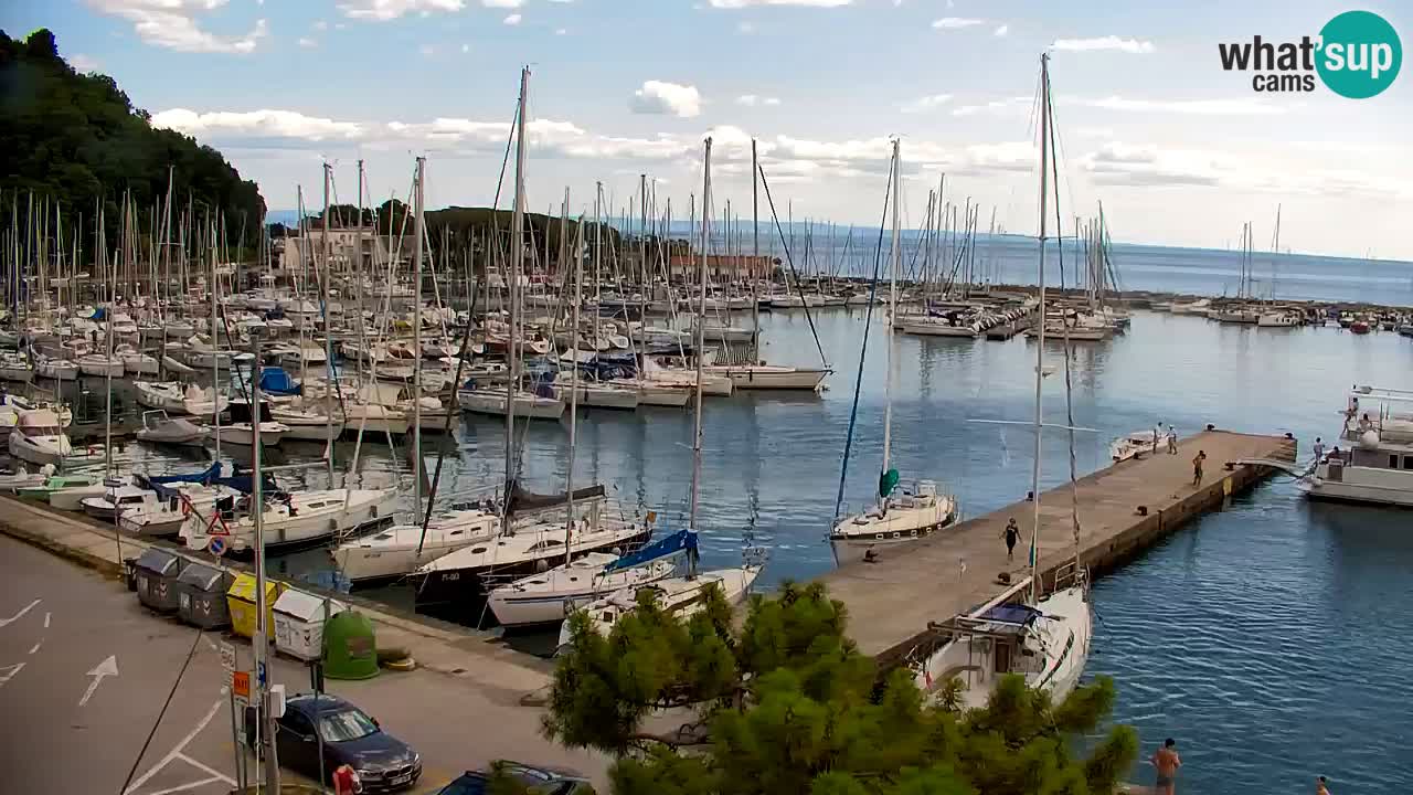 Webcam Sistiana Bucht – Liveblick auf Marina und Bucht