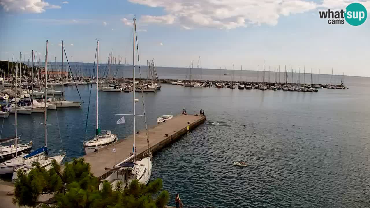 Webcam Baia di Sistiana – Marina e Golfo in diretta
