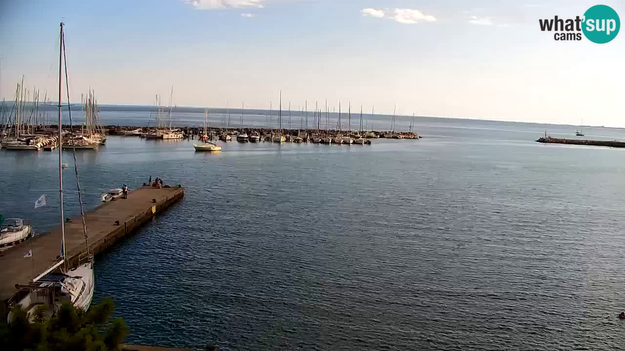 Webcam Sistiana Baia – Live View of the Marina and Gulf
