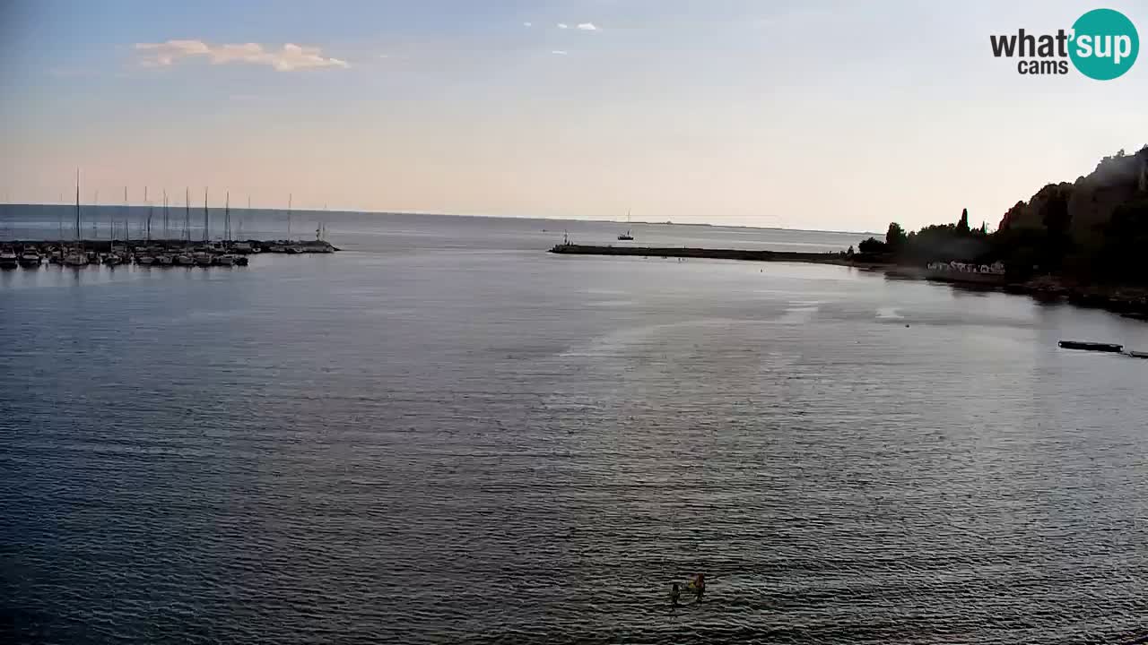 Webcam Sistiana Baia – Live View of the Marina and Gulf
