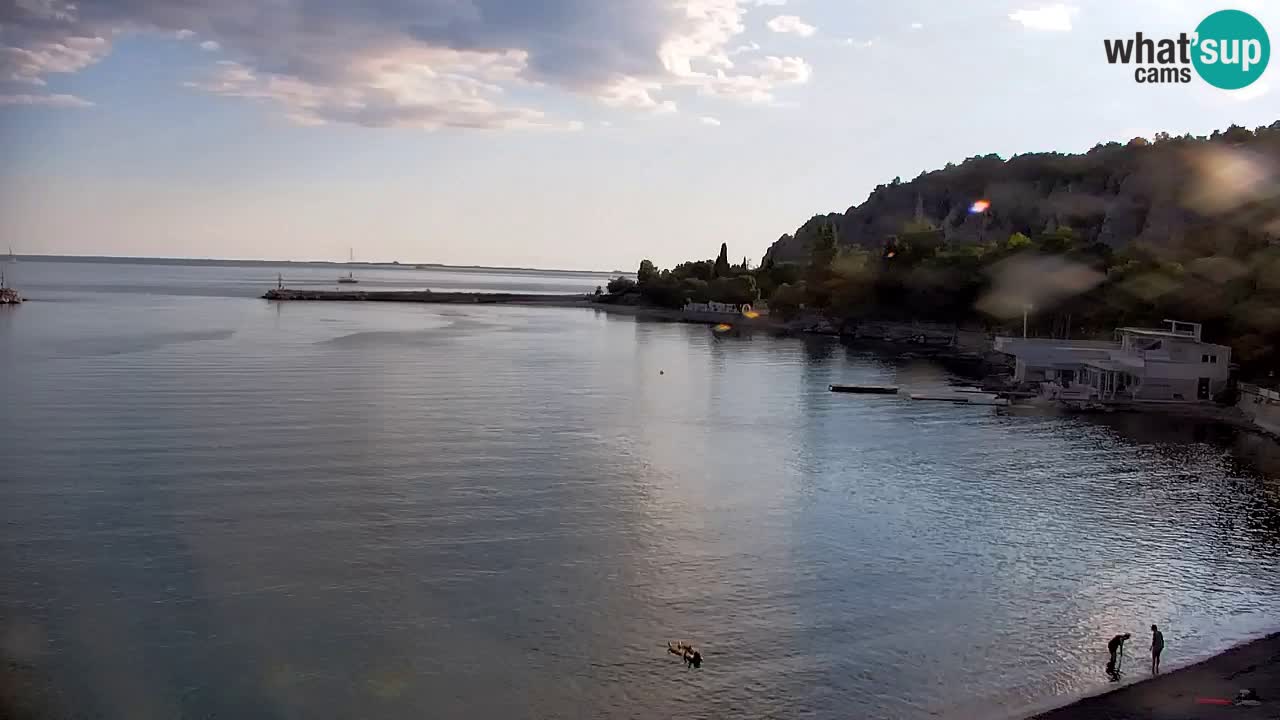 Webcam Baie de Sistiana – Vue en direct de la marina et de la baie