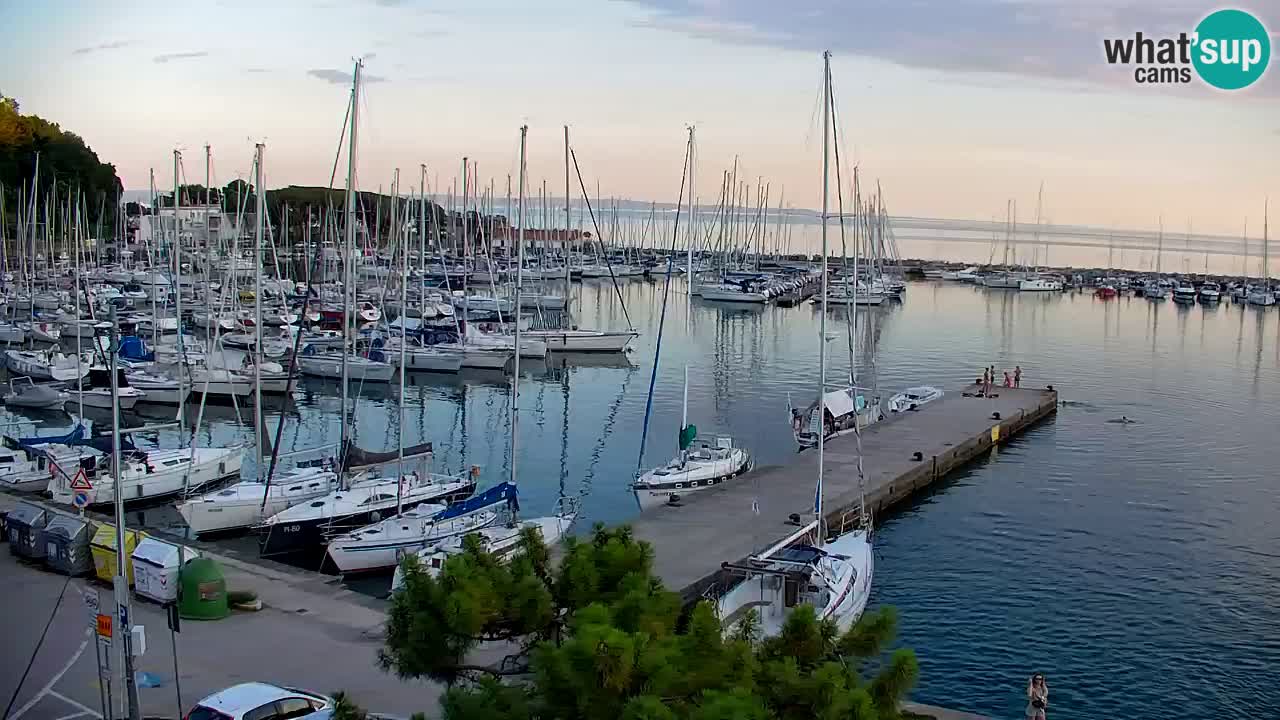Web kamera Sistiana Uvala – Pogled uživo na marinu i zaljev