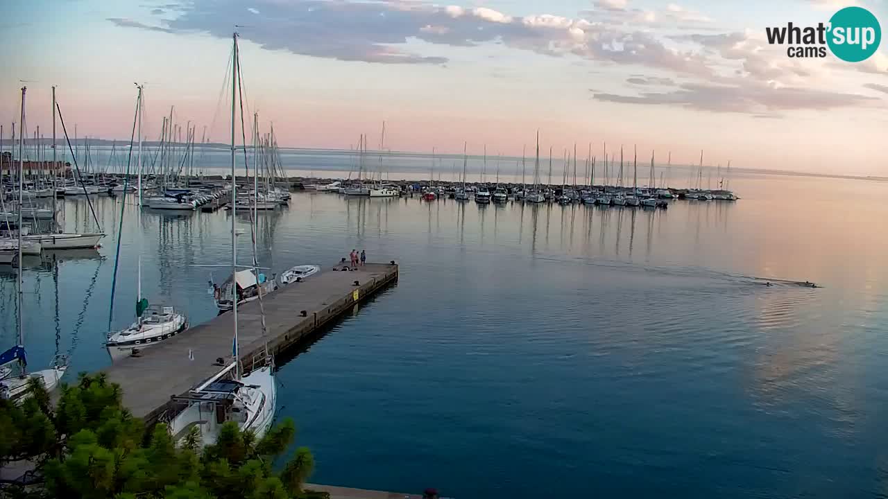 Webcam Sistiana Bucht – Liveblick auf Marina und Bucht