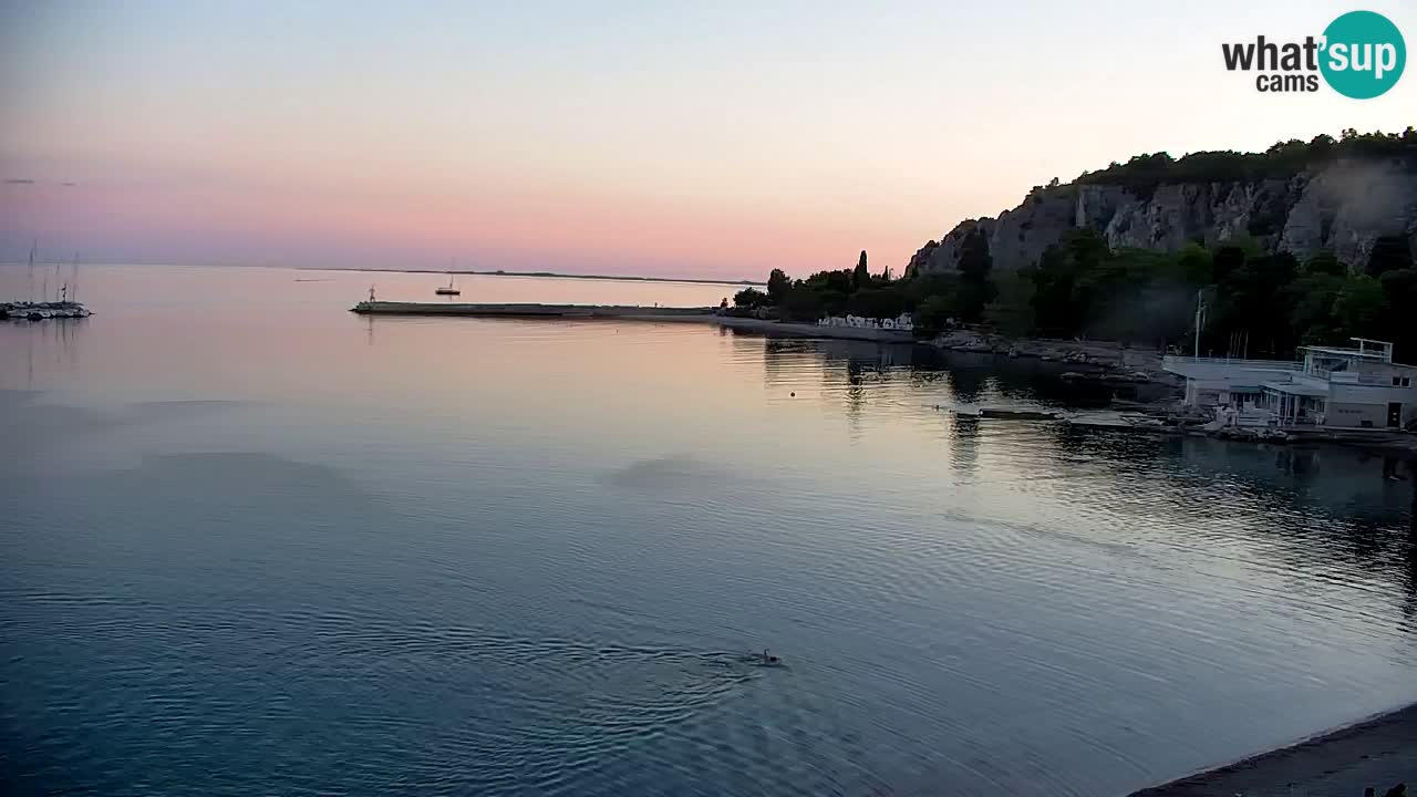 Webcam Sistiana Baia – Live View of the Marina and Gulf