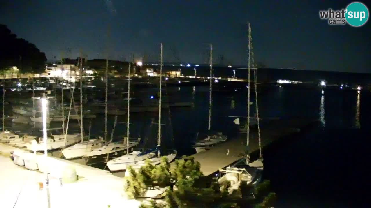 Webcam Sistiana Baia – Live View of the Marina and Gulf