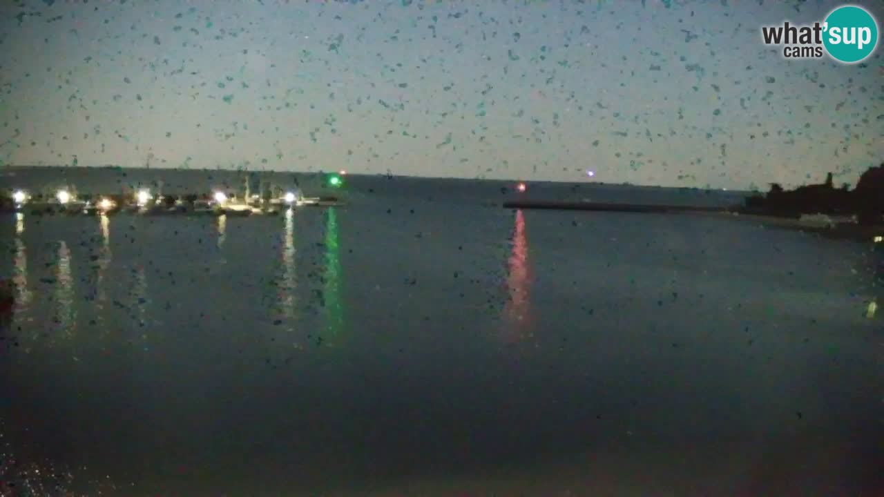 Webcam Bahía de Sistiana – Vista en directo del puerto deportivo y la costa