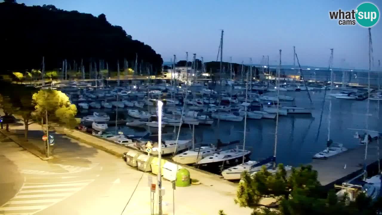 Webcam Sistiana Baia – Live View of the Marina and Gulf