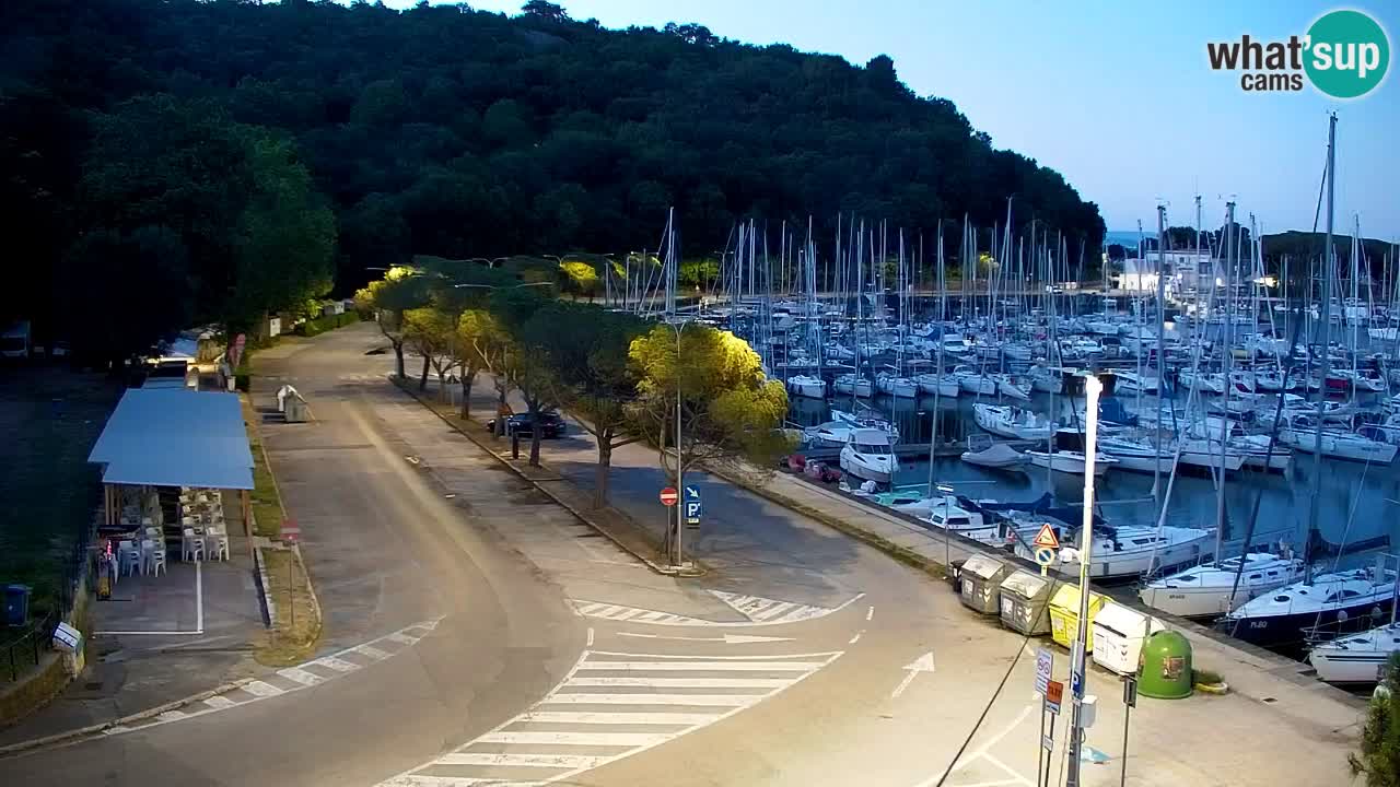 Webcam Sistiana Baia – Live View of the Marina and Gulf