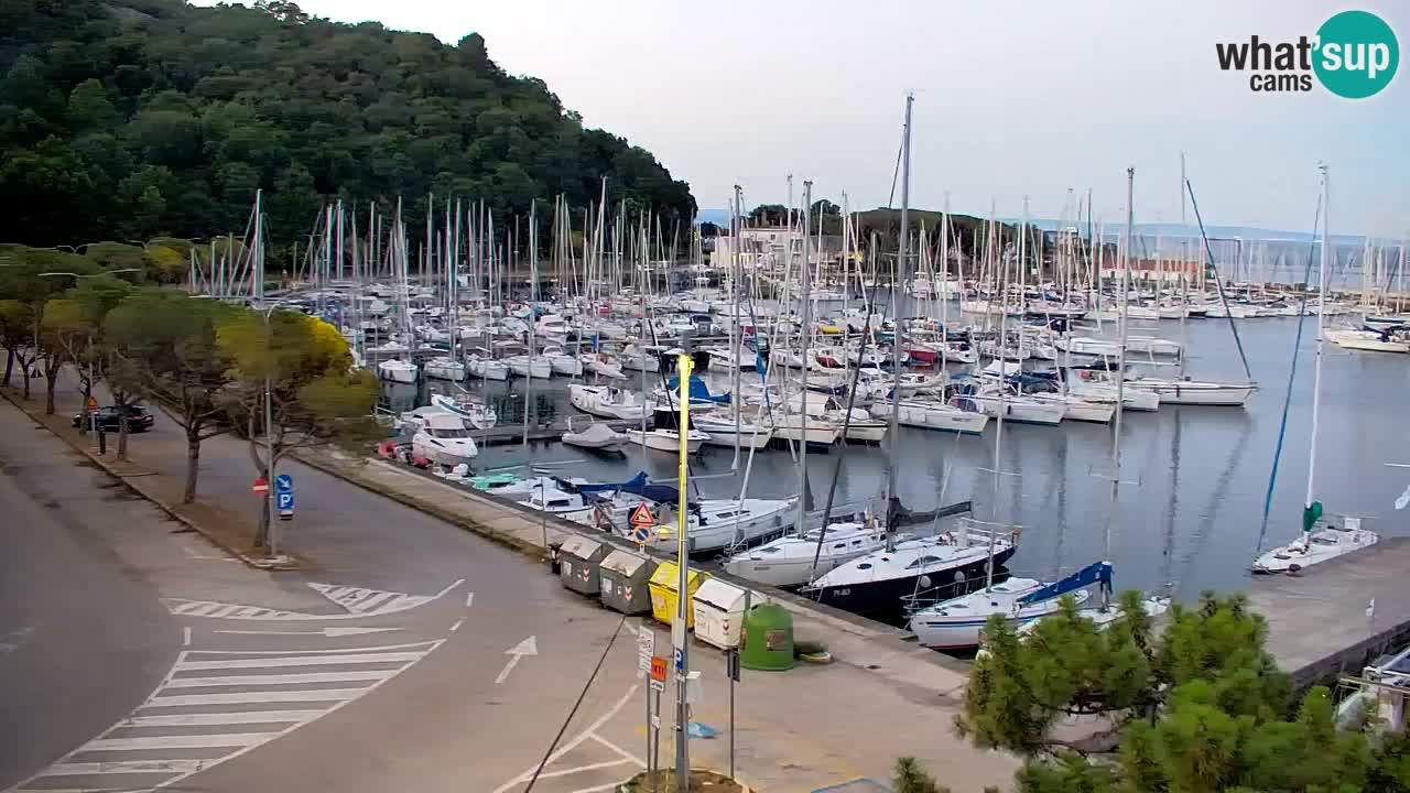 Webcam Sistiana Baia – Live View of the Marina and Gulf