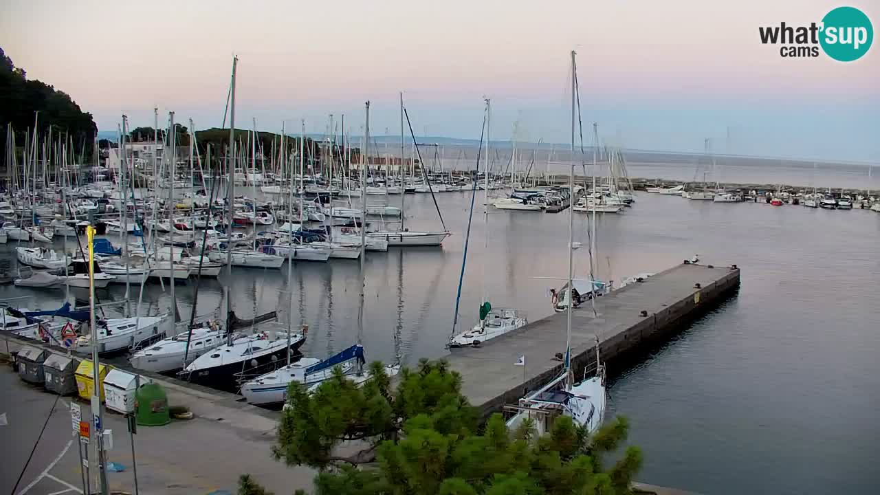 Webcam Bahía de Sistiana – Vista en directo del puerto deportivo y la costa