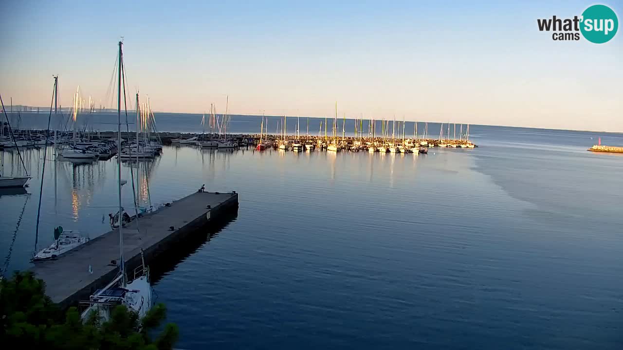 Webcam Sistiana Baia – Live View of the Marina and Gulf