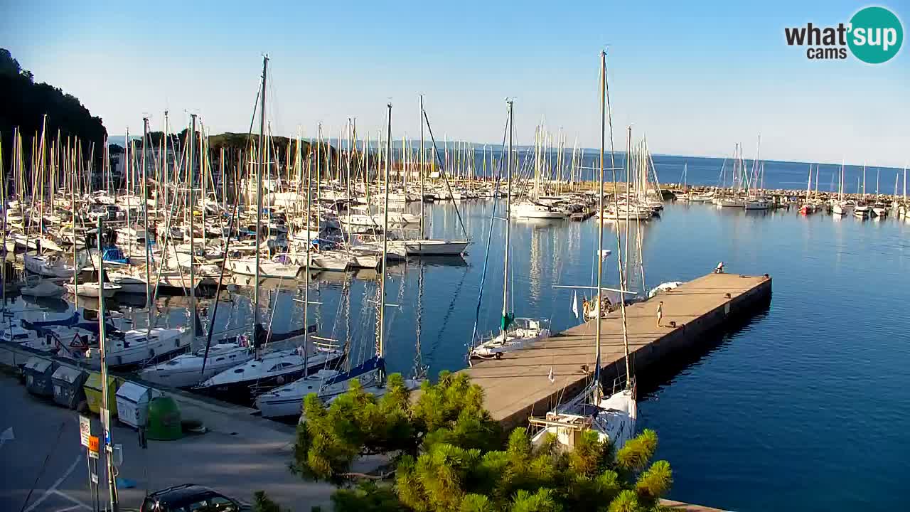 Webcam Bahía de Sistiana – Vista en directo del puerto deportivo y la costa