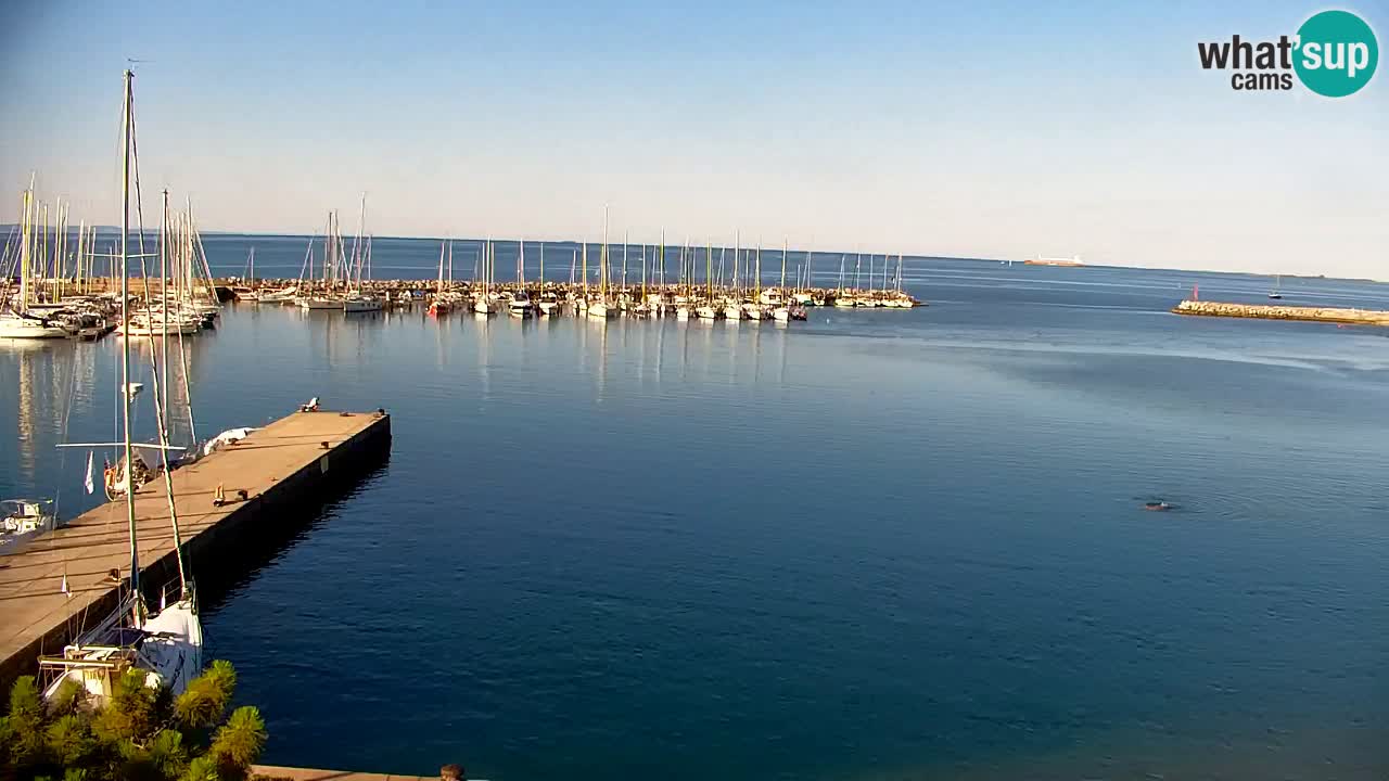 Webcam Baie de Sistiana – Vue en direct de la marina et de la baie