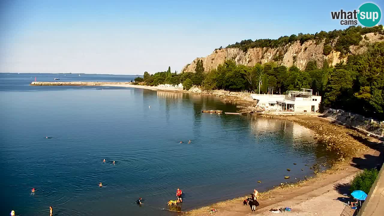 Webcam Sistiana Baia – Live View of the Marina and Gulf