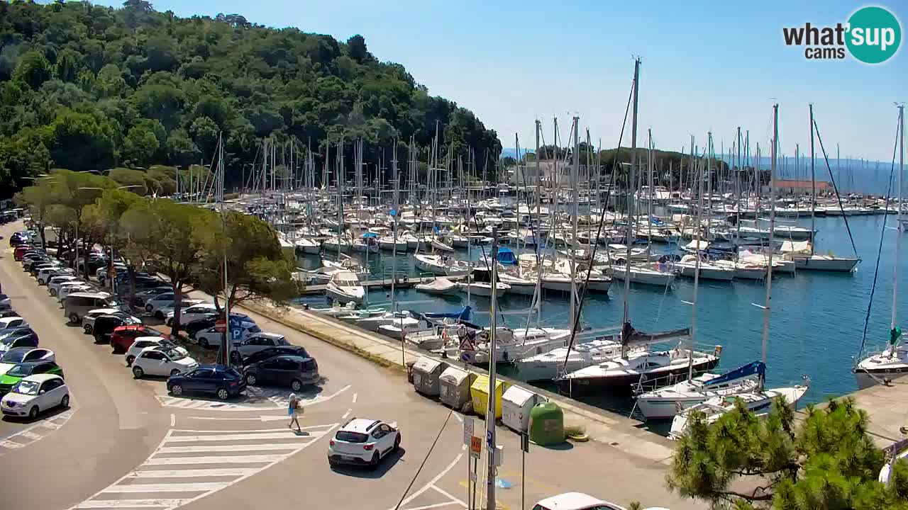 Webcam Sistiana Baia – Live View of the Marina and Gulf