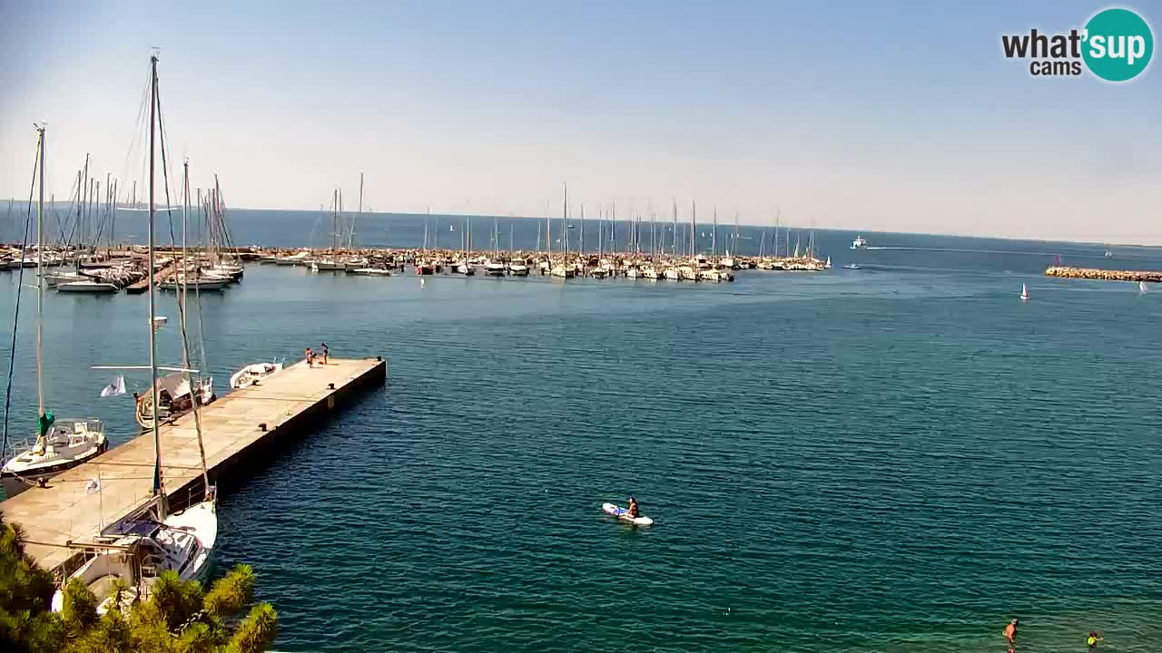 Webcam Sistiana Baia – Live View of the Marina and Gulf
