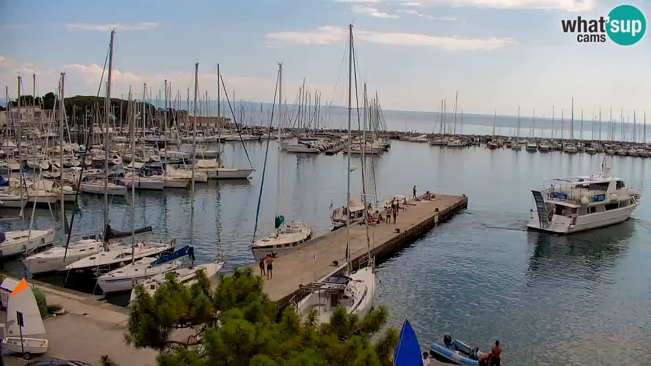 Webcam Bahía de Sistiana – Vista en directo del puerto deportivo y la costa