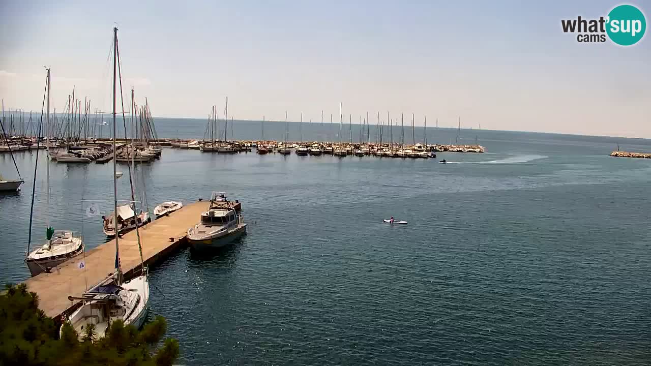 Webcam Sistiana Baia – Live View of the Marina and Gulf