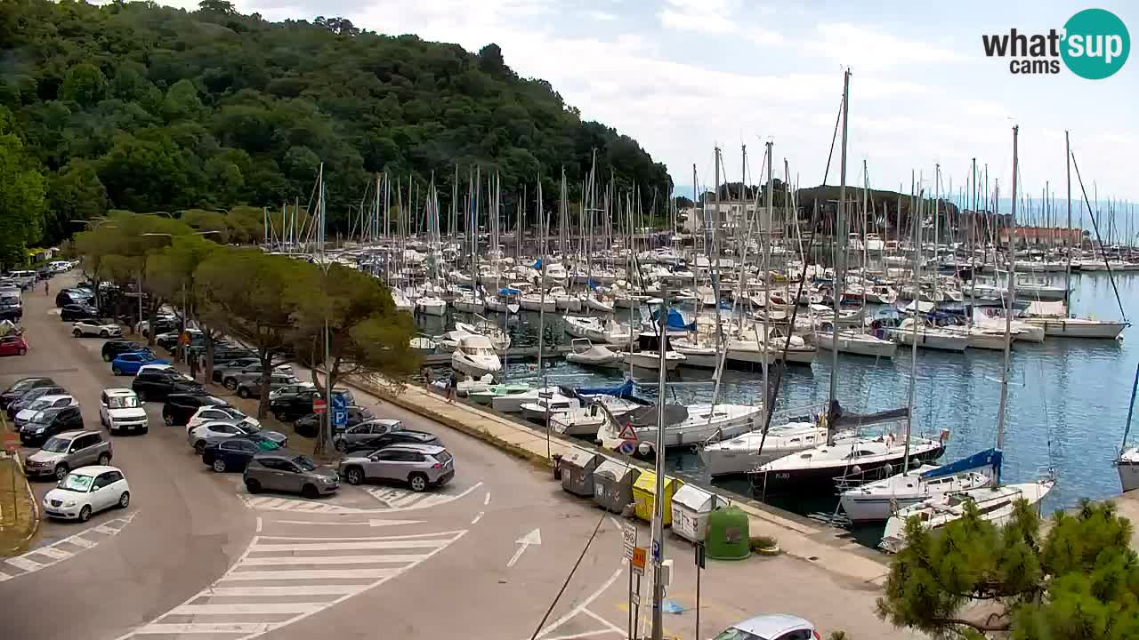 Webcam Bahía de Sistiana – Vista en directo del puerto deportivo y la costa