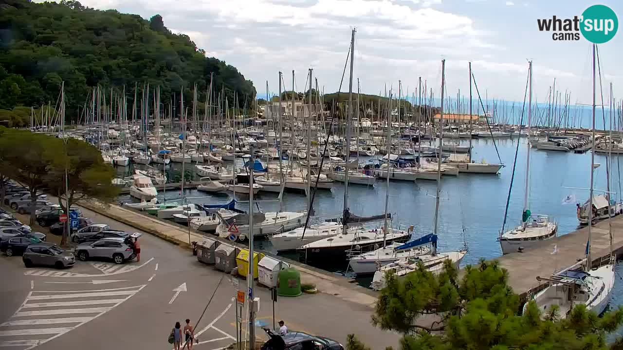 Spletna kamera Sesljanski zaliv – Pogled v živo na marino in zaliv