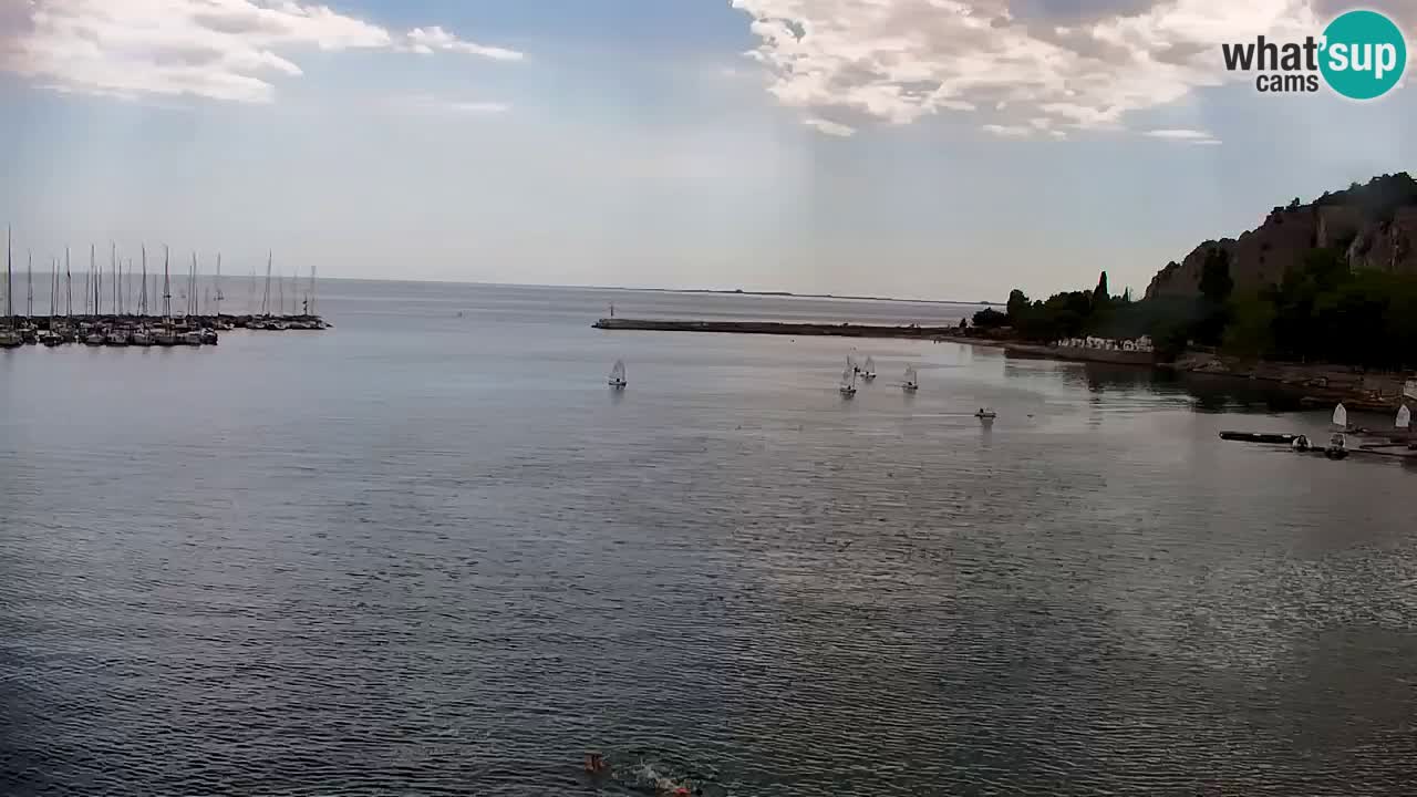 Webcam Sistiana Baia – Live View of the Marina and Gulf