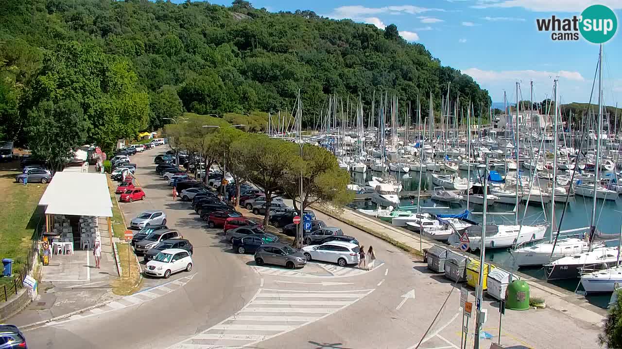 Webcam Sistiana Baia – Live View of the Marina and Gulf