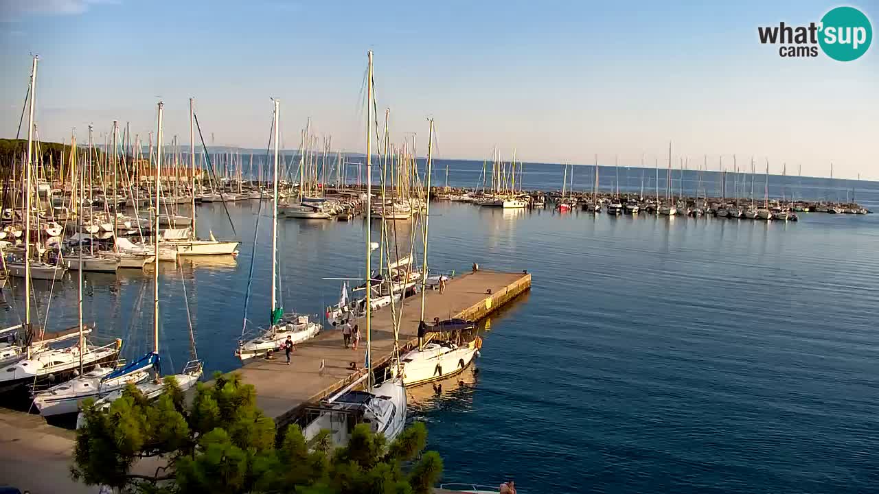 Spletna kamera Sesljanski zaliv – Pogled v živo na marino in zaliv