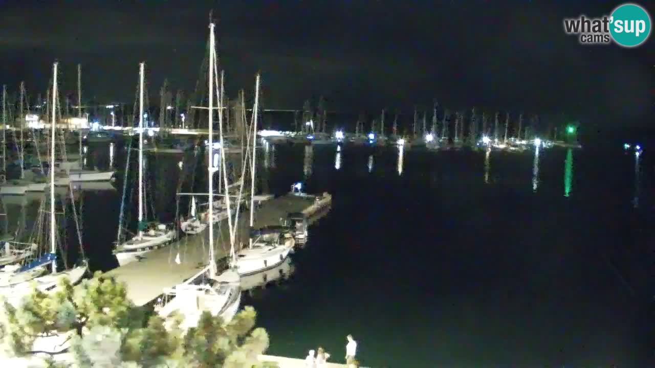 Webcam Bahía de Sistiana – Vista en directo del puerto deportivo y la costa