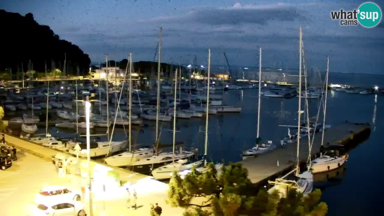 Webcam Sistiana Baia – Live View of the Marina and Gulf