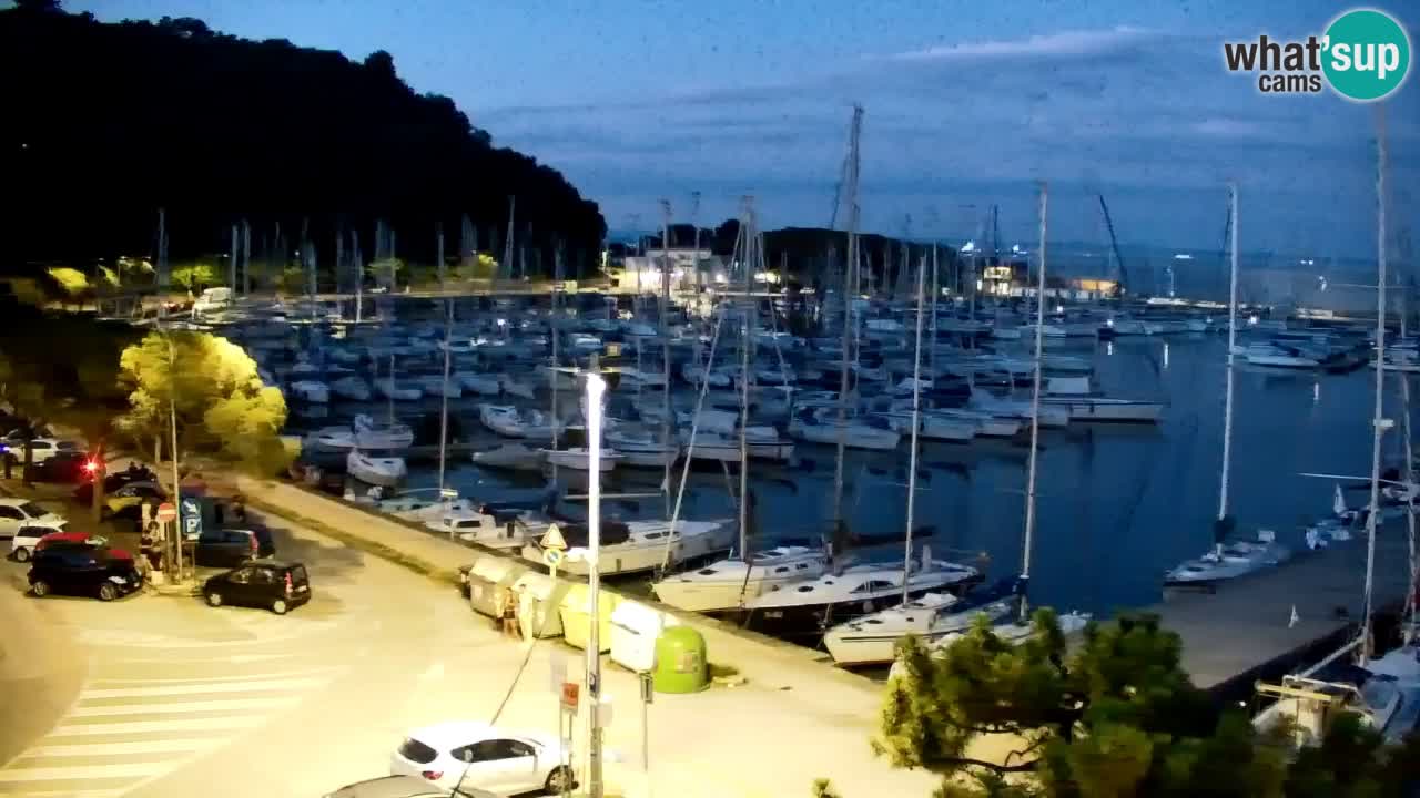 Webcam Sistiana Baia – Live View of the Marina and Gulf